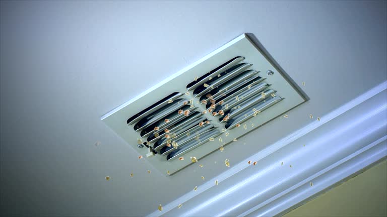 Best Commercial Air Duct Cleaning  in Martinez, GA
