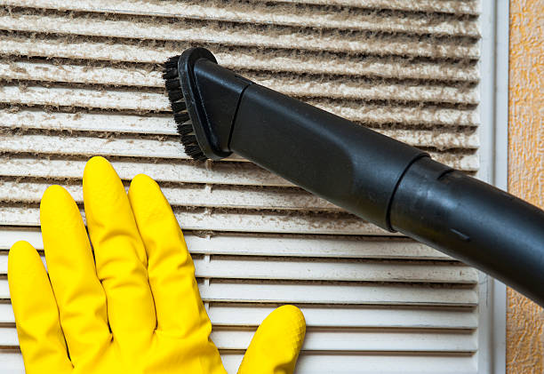 Best Air Duct Mold Removal  in Martinez, GA